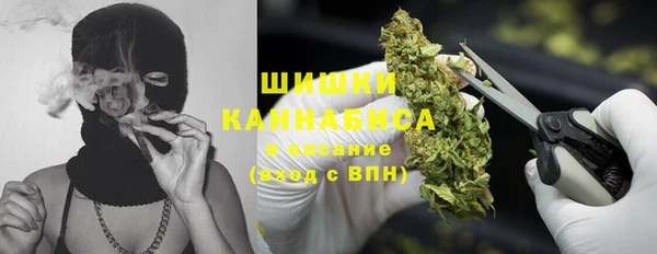 трава Верхний Тагил