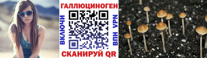 Галлюциногенные грибы Magic Shrooms  Купить  Невель 